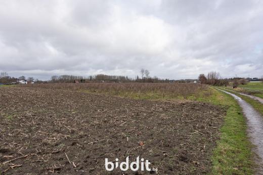 Tweede alternatieve foto van het pand