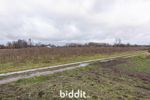 Derde alternatieve foto van het pand