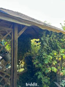 Tweede alternatieve foto van het pand