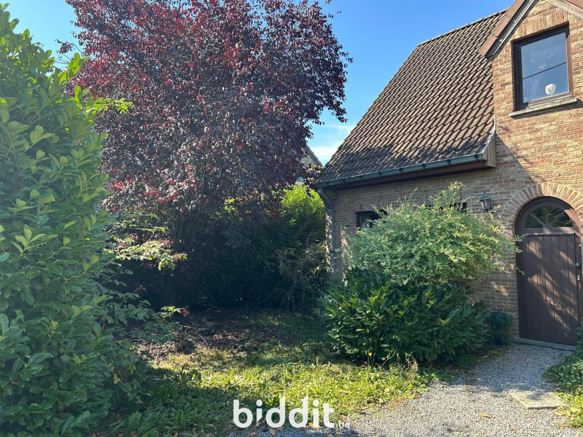 Presentatiebeeld van het pand n° 289402