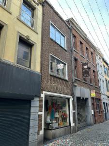 Presentatiebeeld van het pand n° 290886