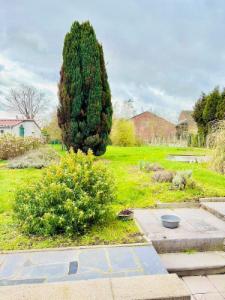 Derde alternatieve foto van het pand