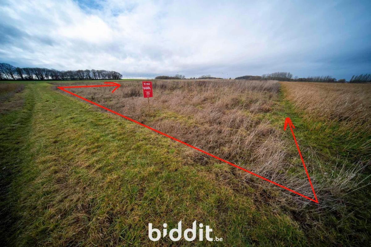 Presentatiebeeld van het pand n° 294874