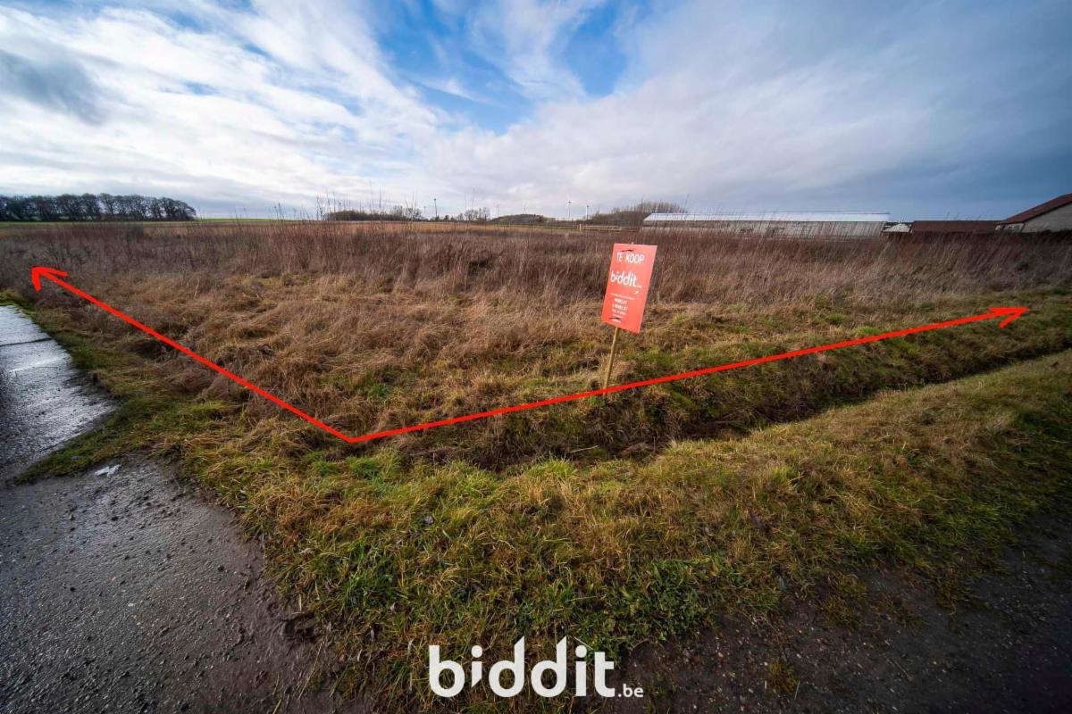 Presentatiebeeld van het pand n° 294879