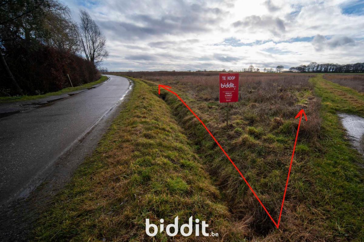 Presentatiebeeld van het pand n° 294881