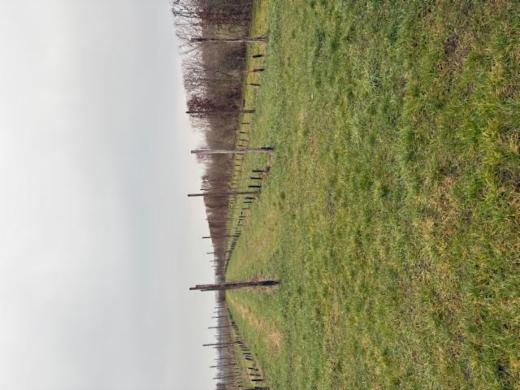 Eerste alternatieve foto van het pand