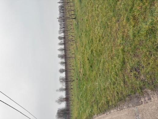 Tweede alternatieve foto van het pand