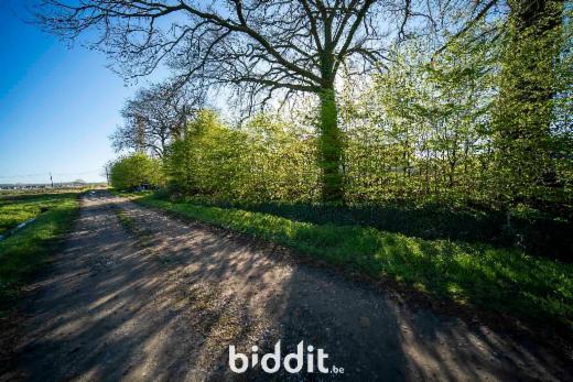 Derde alternatieve foto van het pand