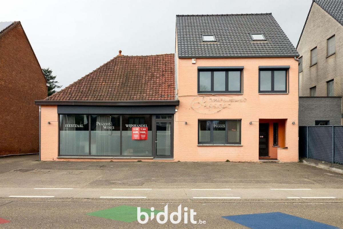 Presentatiebeeld van het pand n° 294952