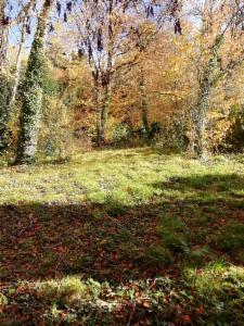 Presentatiebeeld van het pand n° 290361