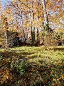 Eerste alternatieve foto van het pand