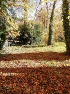 Tweede alternatieve foto van het pand