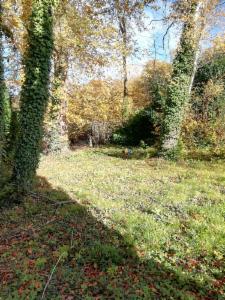 Derde alternatieve foto van het pand