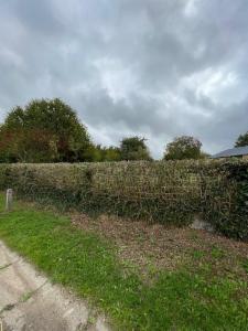 Derde alternatieve foto van het pand