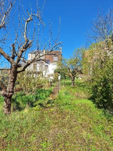 Tweede alternatieve foto van het pand