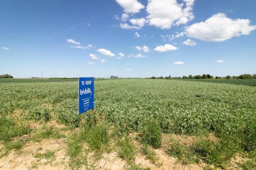 Derde alternatieve foto van het pand