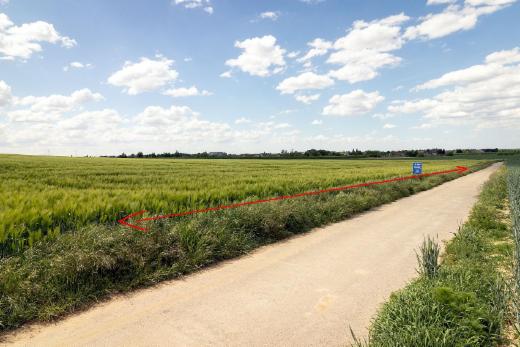 Tweede alternatieve foto van het pand
