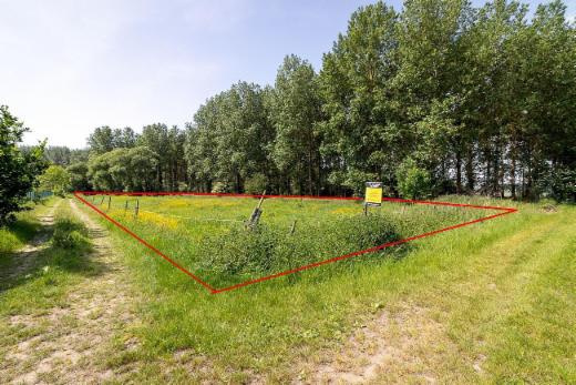 Derde alternatieve foto van het pand