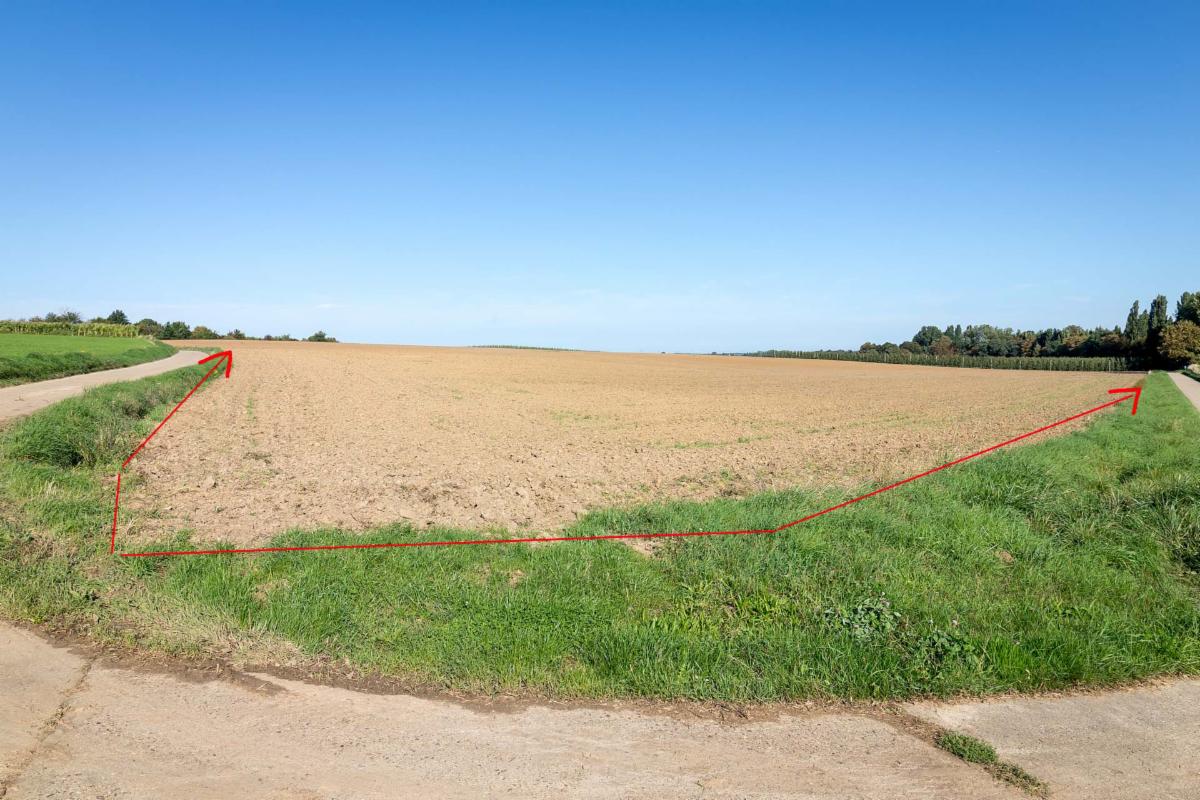 Presentatiebeeld van het pand n° 301695