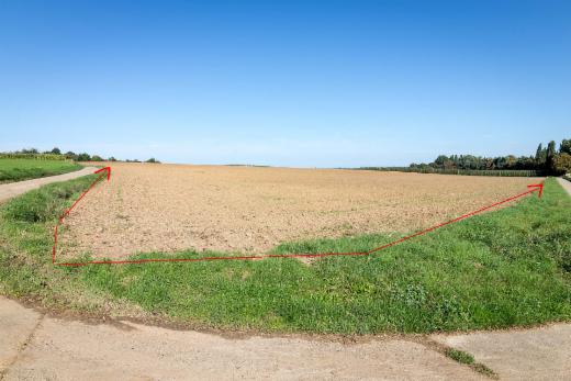 Presentatiebeeld van het pand n° 301695