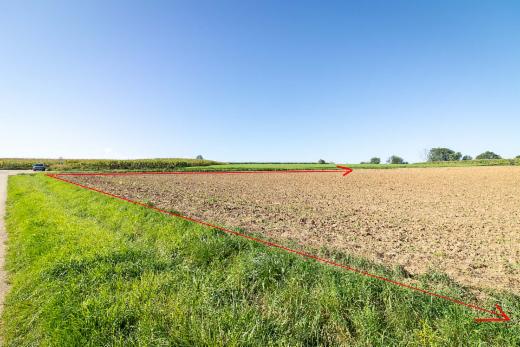 Eerste alternatieve foto van het pand