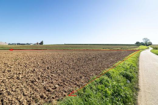 Tweede alternatieve foto van het pand