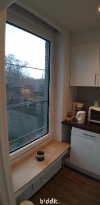 Tweede alternatieve foto van het pand