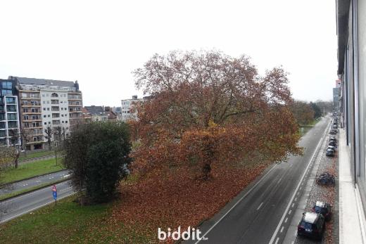 Presentatiebeeld van het pand n° 290266