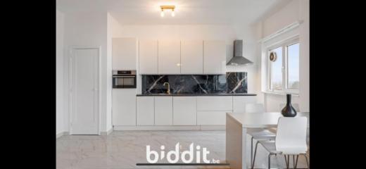 Presentatiebeeld van het pand n° 286017