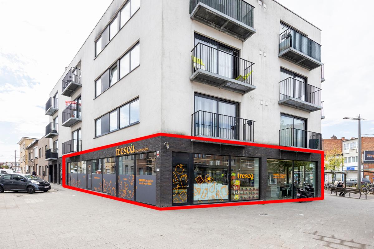 Presentatiebeeld van het pand n° 301627