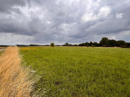 Tweede alternatieve foto van het pand