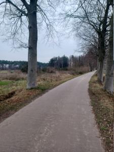 Derde alternatieve foto van het pand