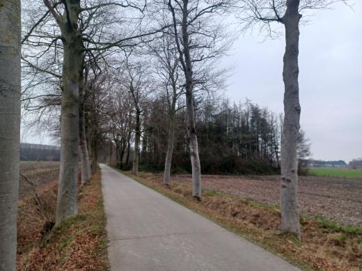 Eerste alternatieve foto van het pand