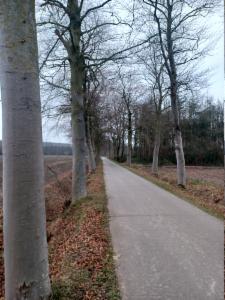 Tweede alternatieve foto van het pand