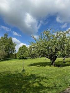 Presentatiebeeld van het pand n° 290245