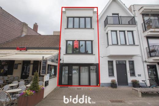 Presentatiebeeld van het pand n° 283357