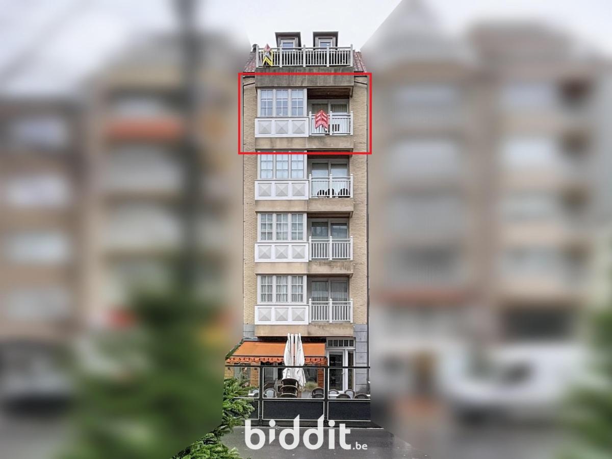 Presentatiebeeld van het pand n° 291972