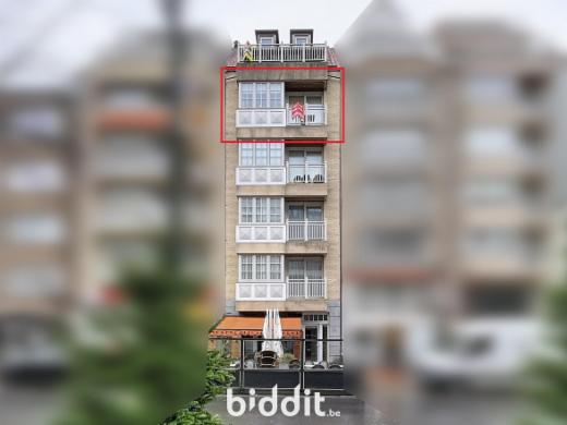 Presentatiebeeld van het pand n° 291972