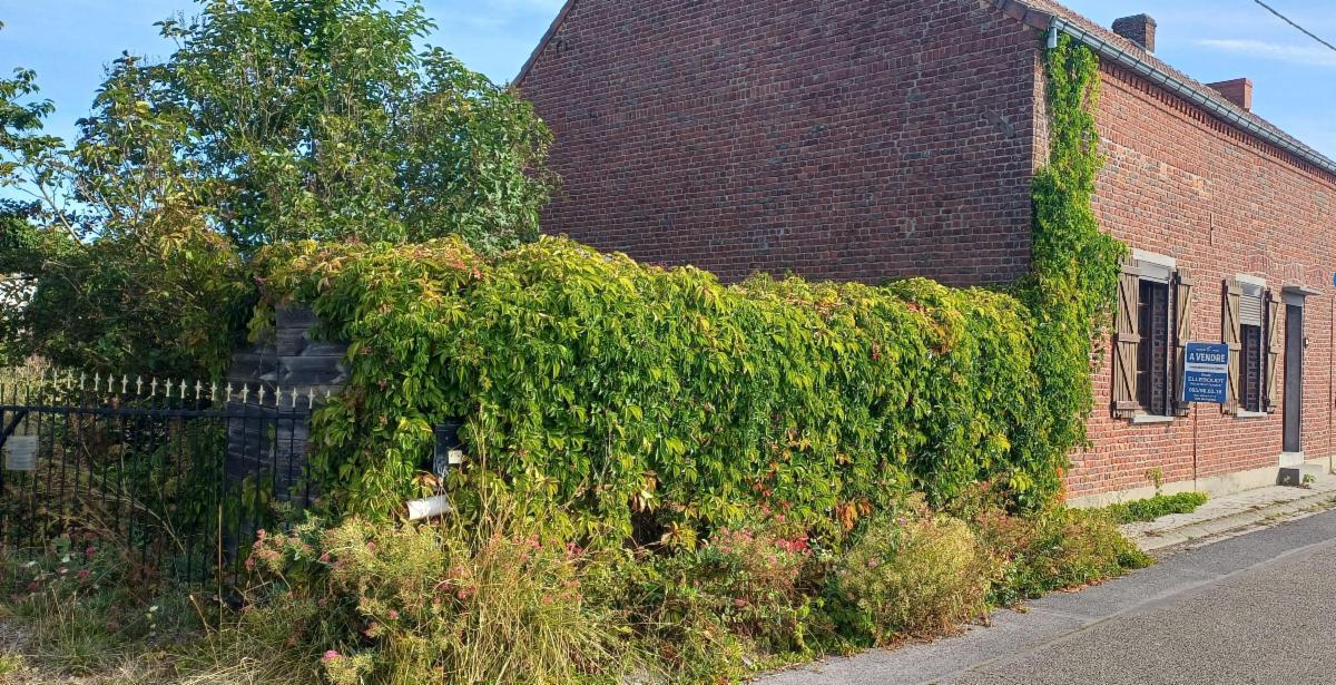 Presentatiebeeld van het pand n° 299962