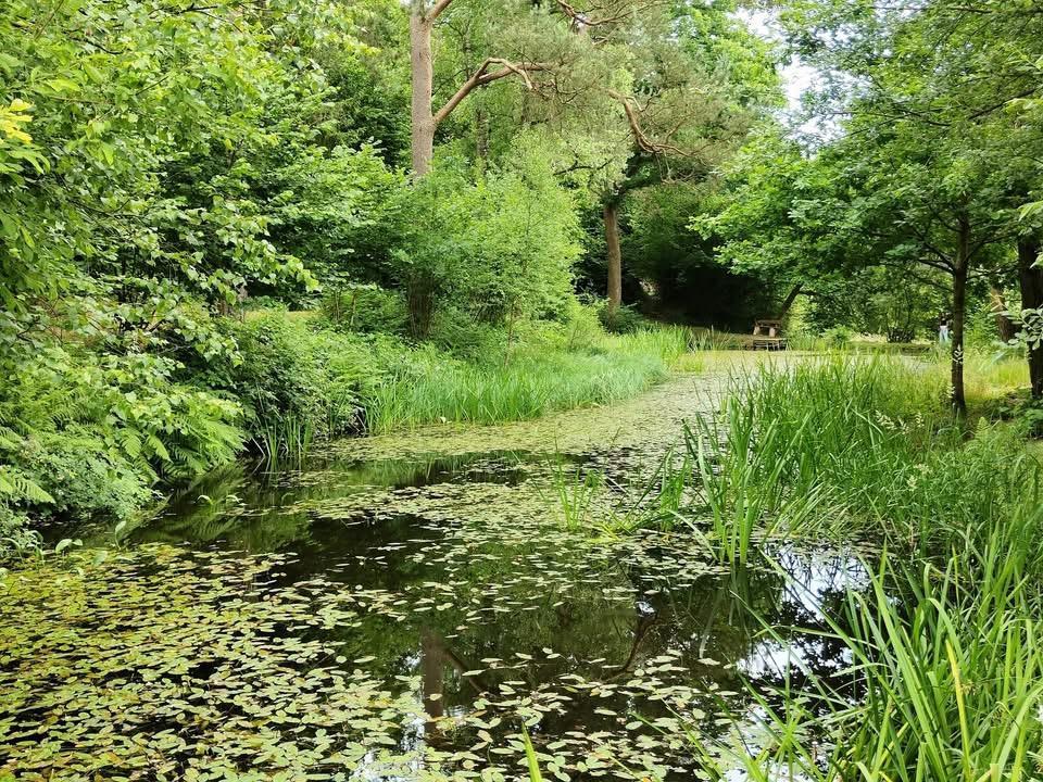 Presentatiebeeld van het pand n° 292003