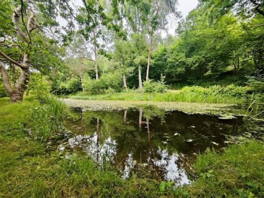 Eerste alternatieve foto van het pand