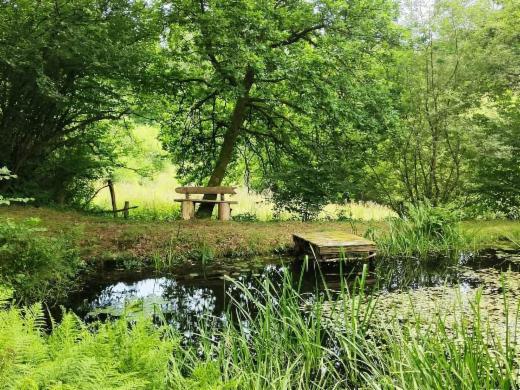 Derde alternatieve foto van het pand