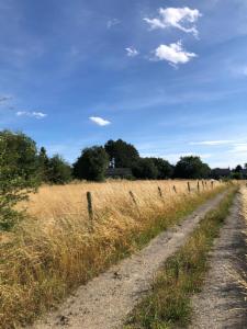 Tweede alternatieve foto van het pand