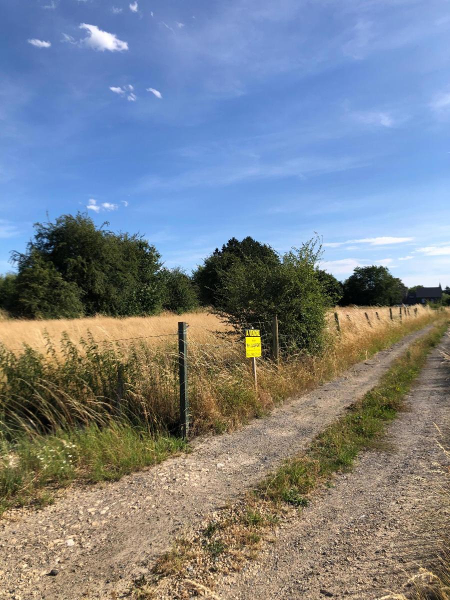 Presentatiebeeld van het pand n° 298161