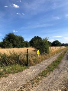 Presentatiebeeld van het pand n° 298161