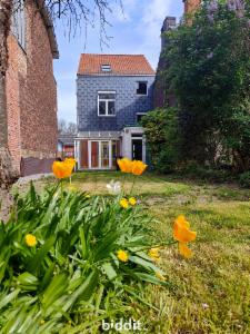 Tweede alternatieve foto van het pand