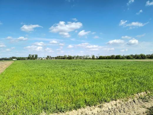 Tweede alternatieve foto van het pand