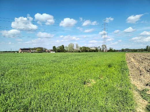 Derde alternatieve foto van het pand