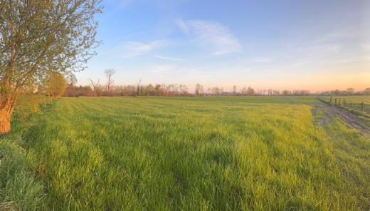 Eerste alternatieve foto van het pand