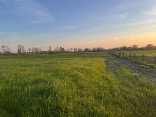 Tweede alternatieve foto van het pand